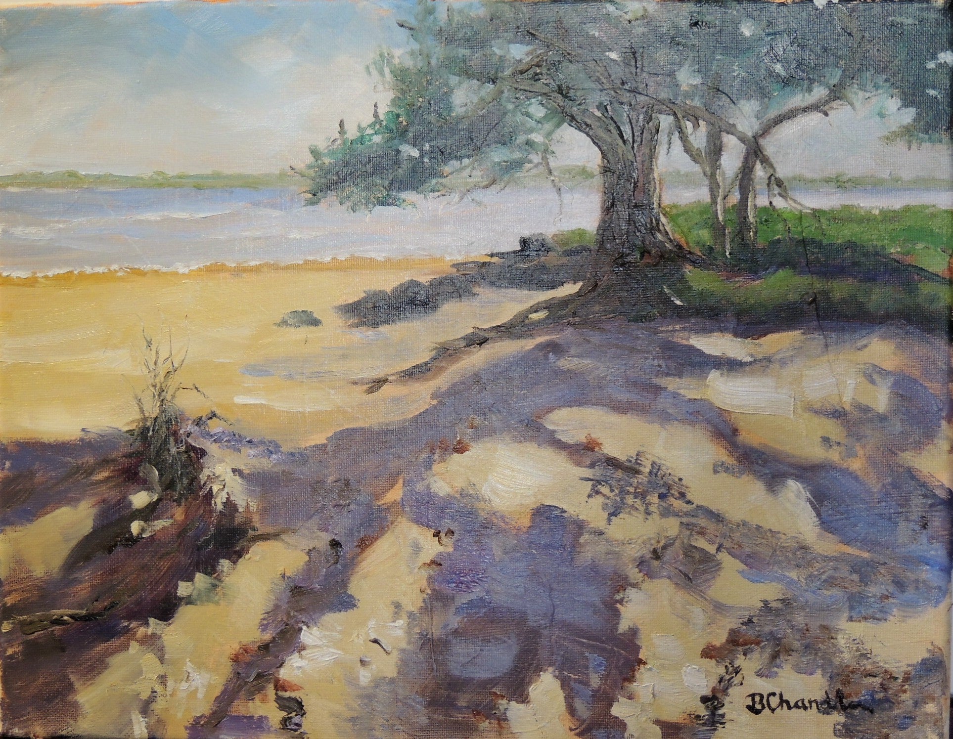 Art Box Gallery Guana State Park Bronwen Chandler Bronwen Chandler Oil