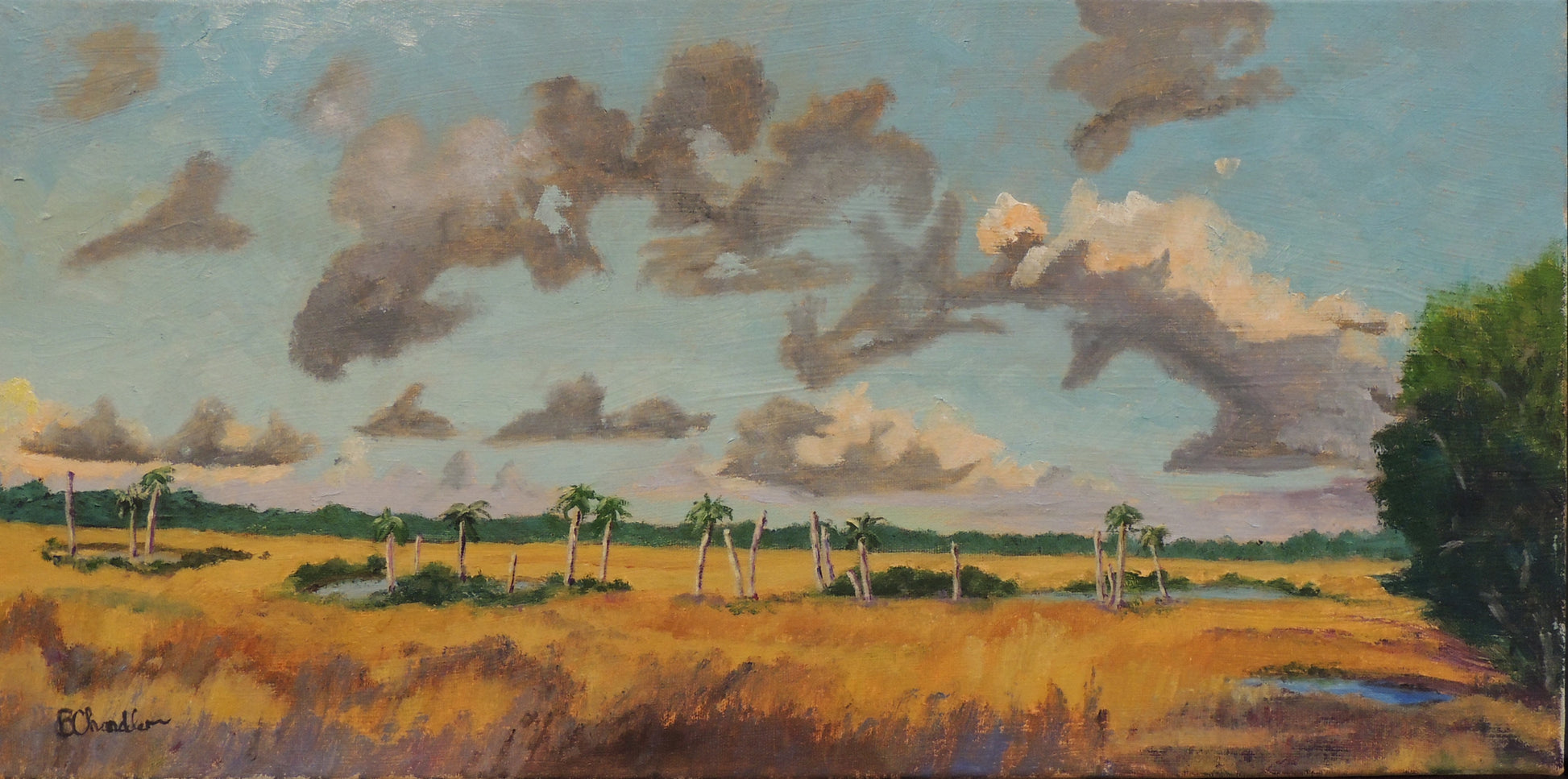 Art Box Gallery Palm Tree Graveyard Bronwen Chandler Bronwen Chandler Oil