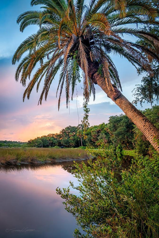 High Bridge Palm Sunset ll by Stacey Sather | Fine Art Photography on Museum-Quality Canvas | Art Box Gallery | St. Augustine, FL
