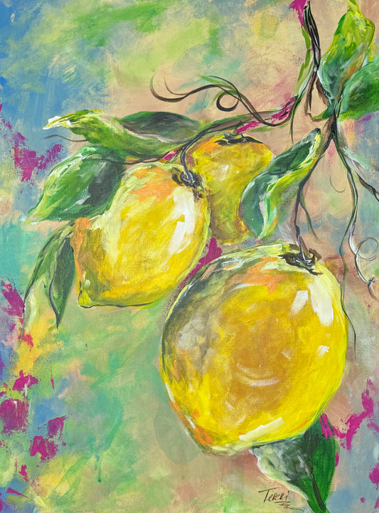 Citrus by Terri Rampone