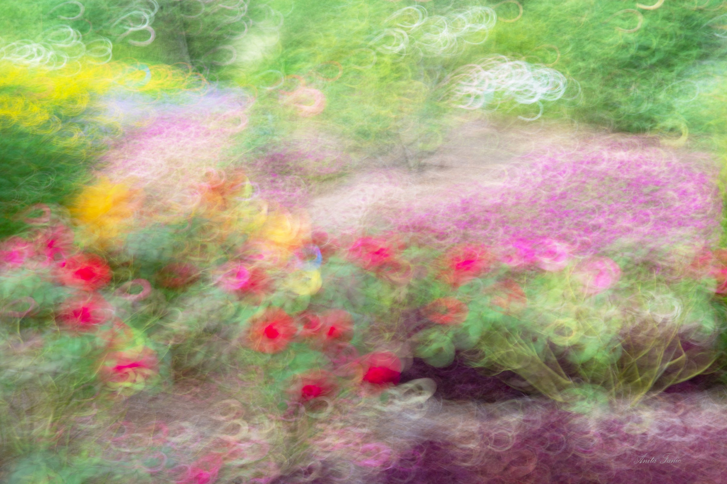 Flower Impressions Art Box Gallery