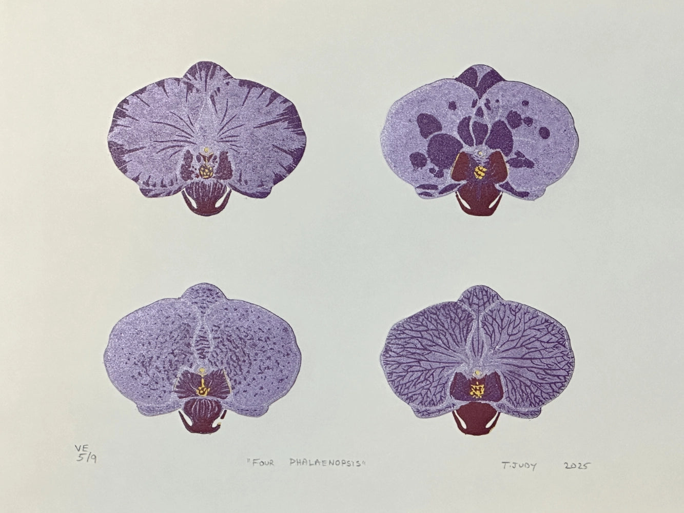 Four Phalaenopsis - in white by Ted Judy