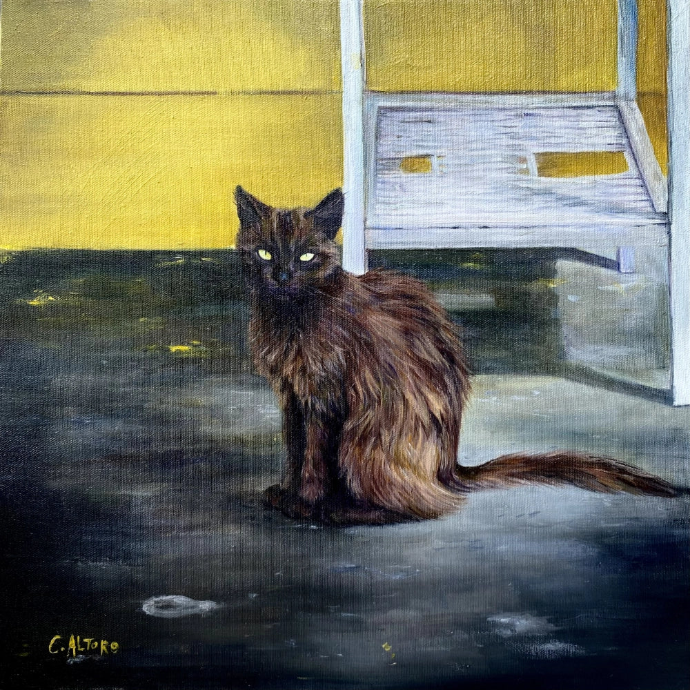 Gato Negro by Cindy Altoro