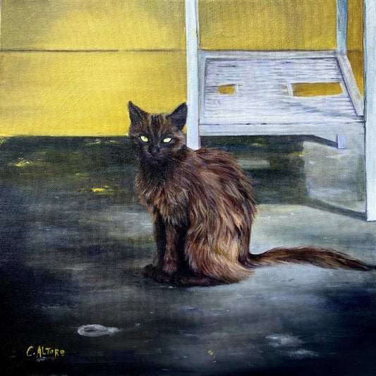 Gato Negro by Cindy Altoro