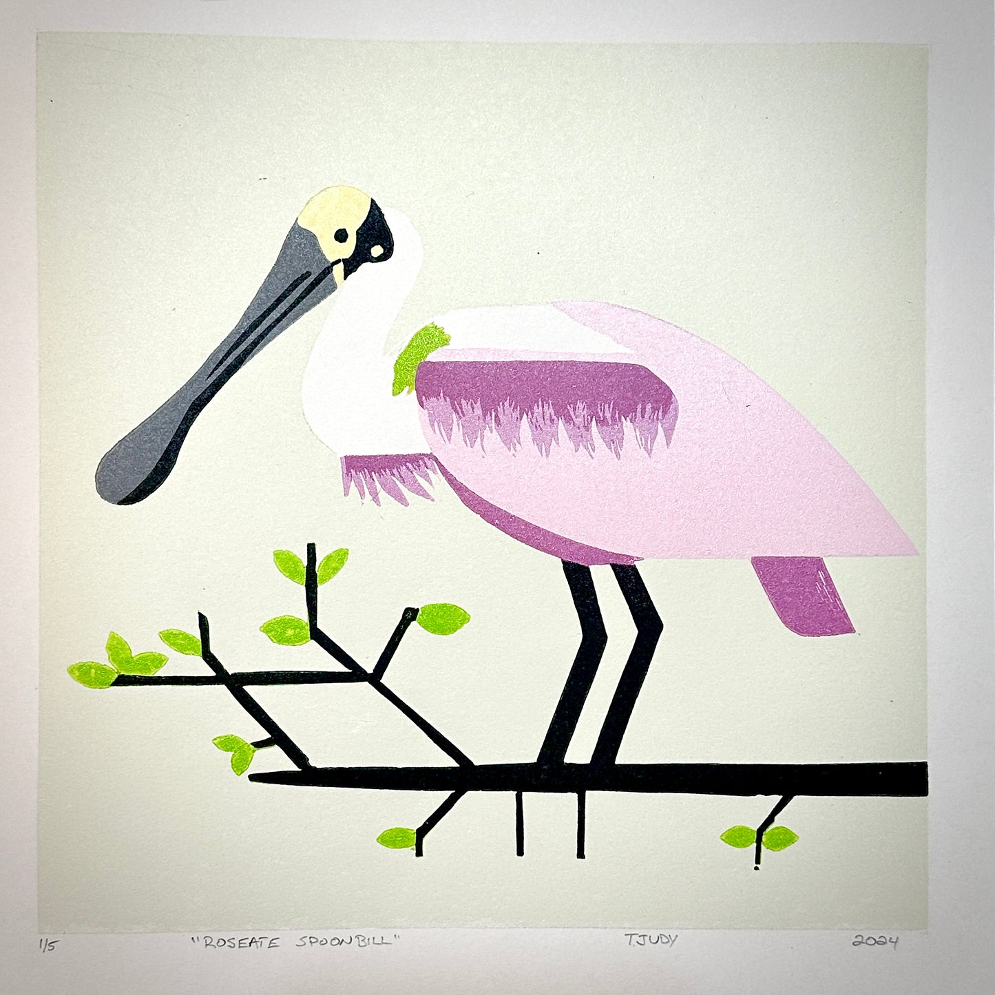 Art Box Gallery Roseate Spoonbill Ted Judy Linocut Print Ted Judy