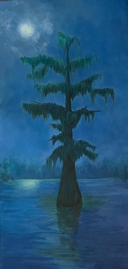 Art Box Gallery Nocturne Cypress Roy Willis Oil Roy Willis