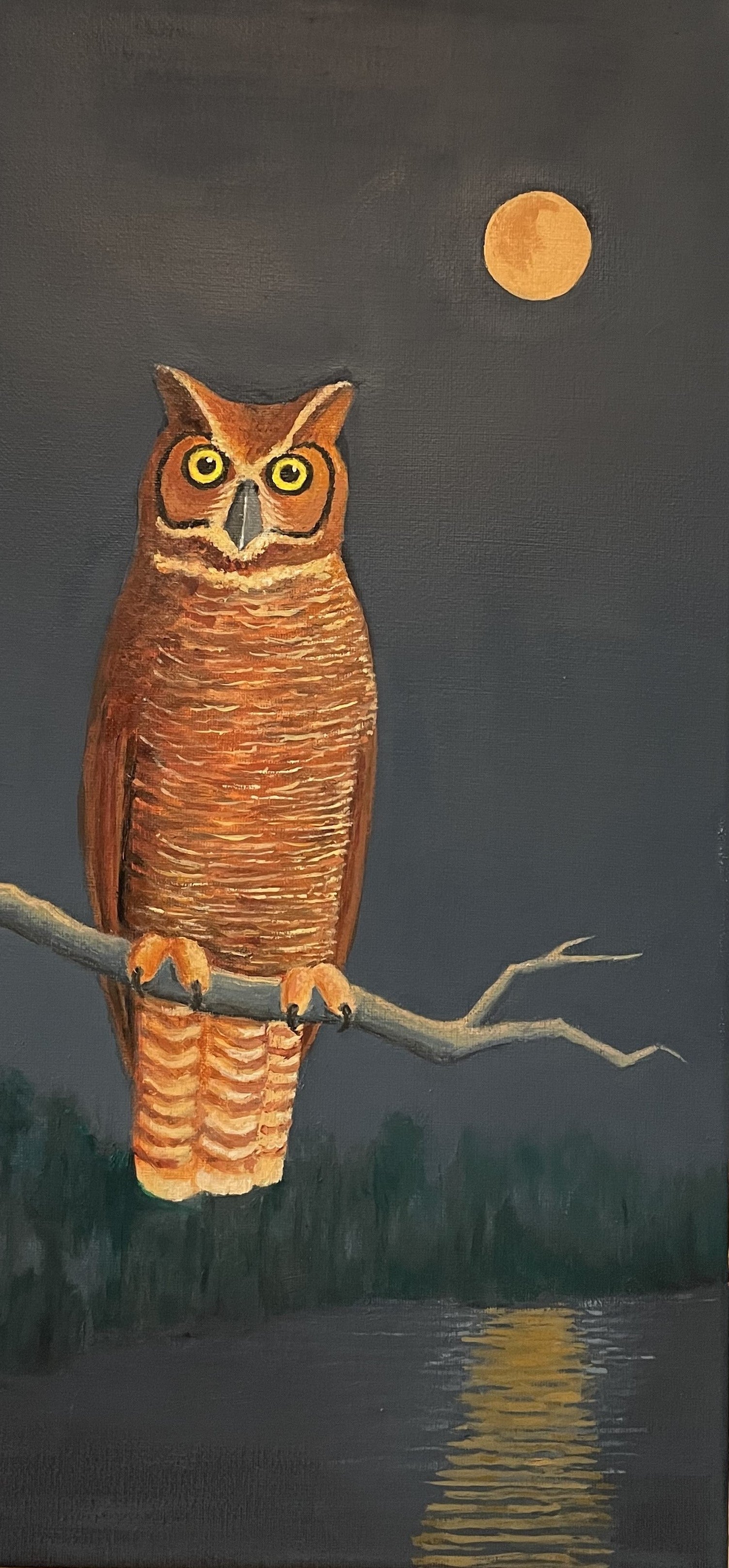 Art Box Gallery Owl Roy Willis Oil Roy Willis