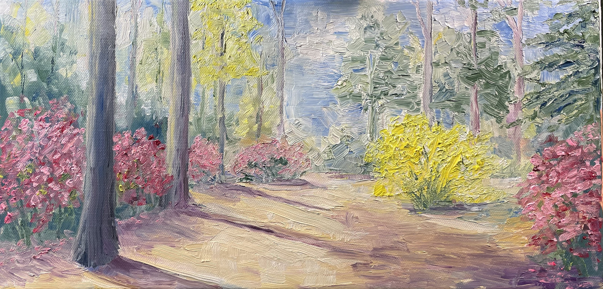 Path to Vicky's Cabin - Artwork - Roy Willis - Art Box Gallery