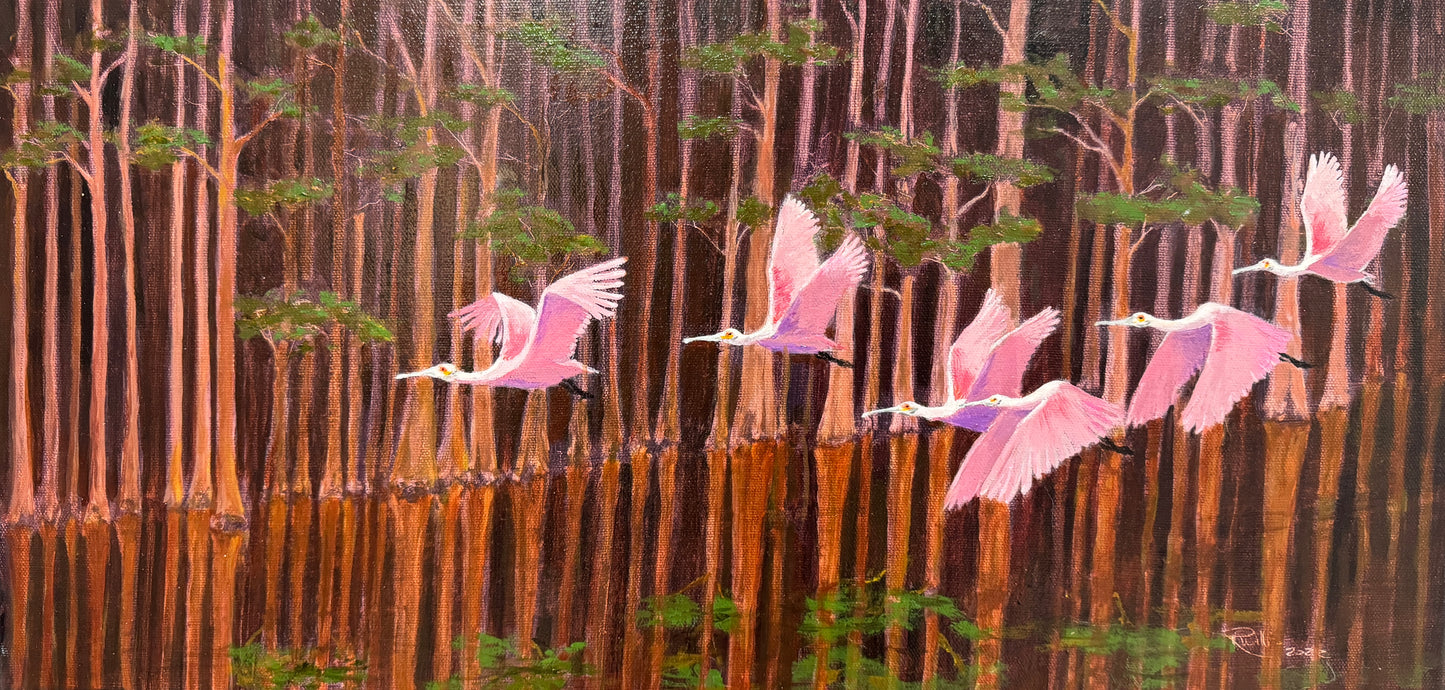 Art Box Gallery Roseate Spoonbills Roy Willis Oil Roy Willis