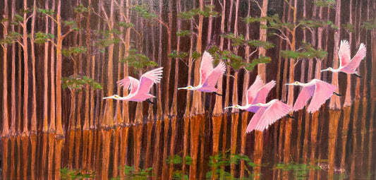 Art Box Gallery Roseate Spoonbills Roy Willis Oil Roy Willis