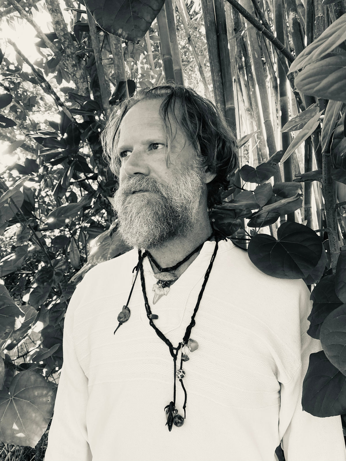 Taylor Fausset Artist Profile Picture