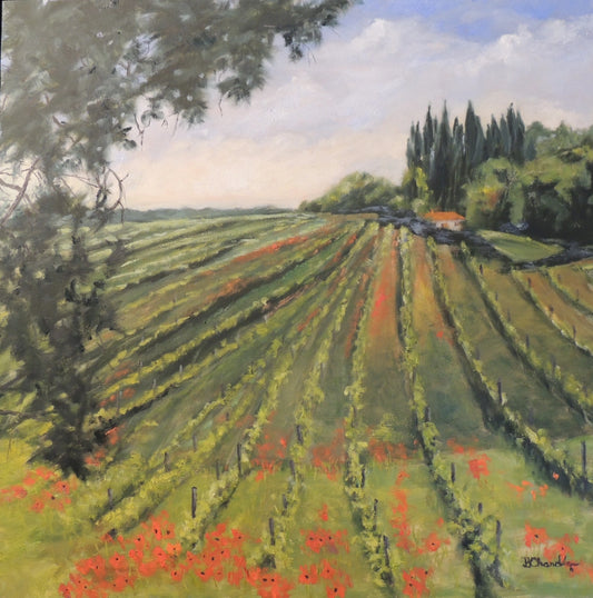 Colline toscane avec coquelicots