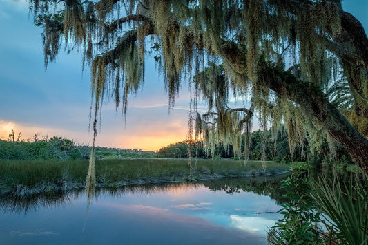 High Bridge Spanish Moss by Stacey Sather | Fine Art Photography on Museum-Quality Canvas | Art Box Gallery | St. Augustine, FL