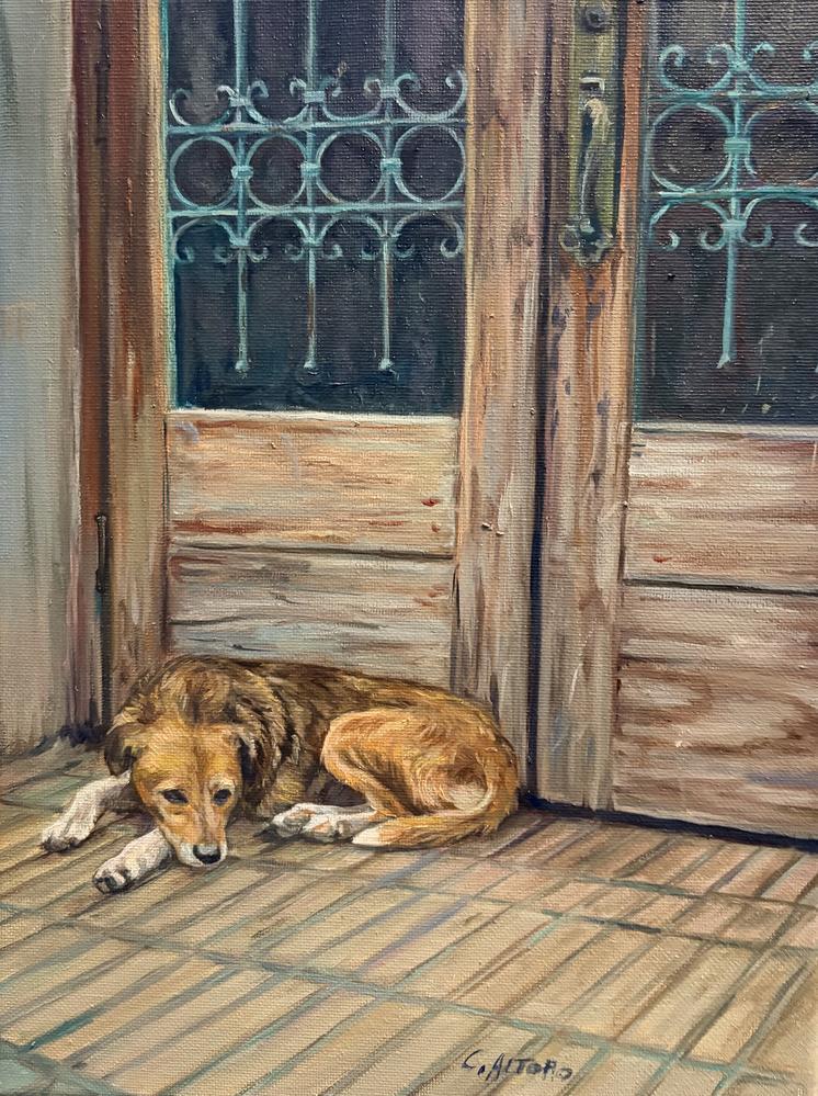 Perro Callejero by Cindy Altoro | Oil on Canvas | Art Box Gallery | St. Augustine, FL